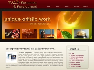 Website service visual